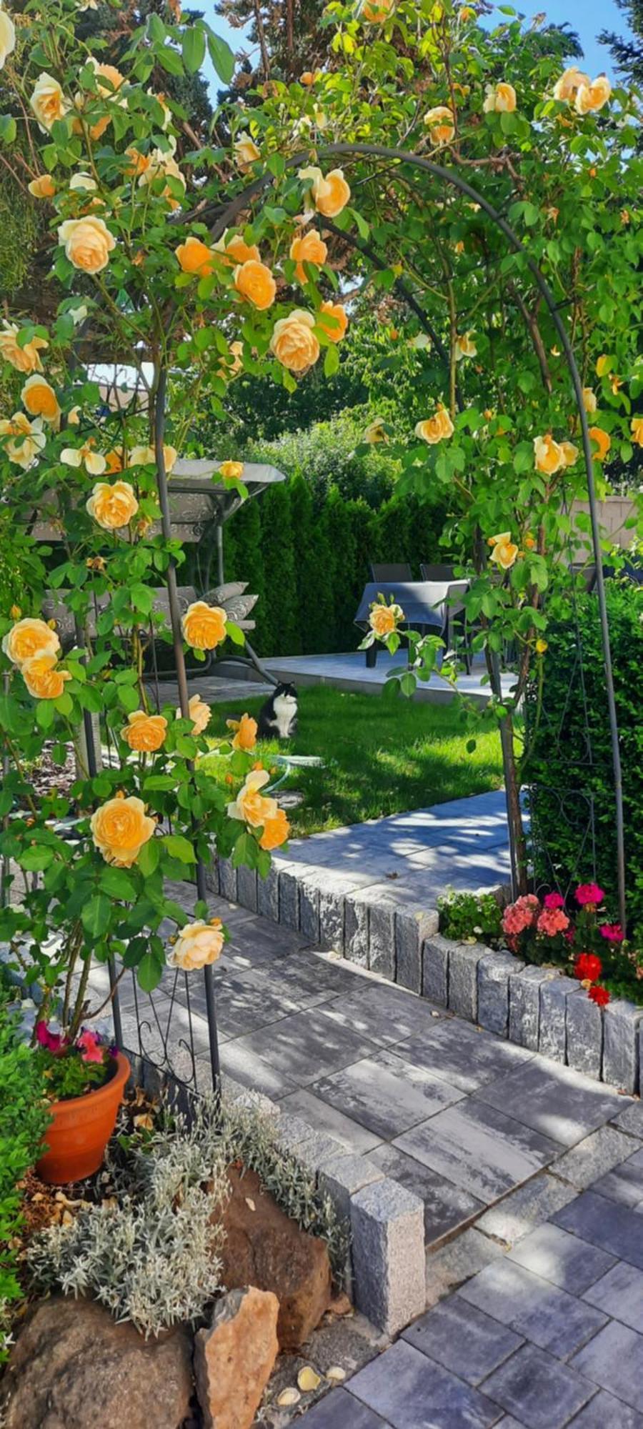 Villa Shafaly Mariánské Lázně المظهر الخارجي الصورة